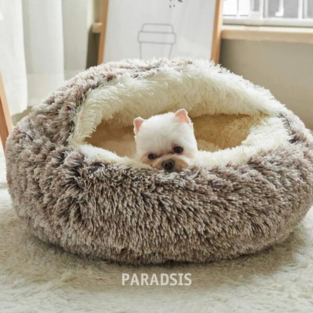 PARADSIS™ Serene Slumber Ultra Bed